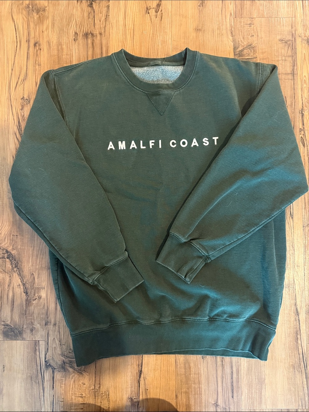 Brandy Melville Dark Green "Amalfi Coast" Crewneck Sweatshirt